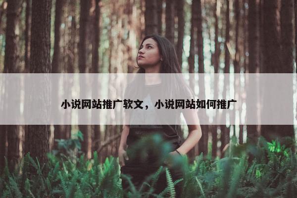 小说网站推广软文，小说网站如何推广