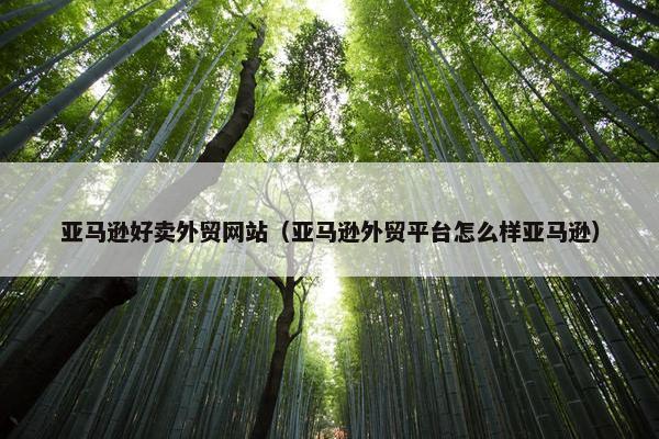 亚马逊好卖外贸网站（亚马逊外贸平台怎么样亚马逊）