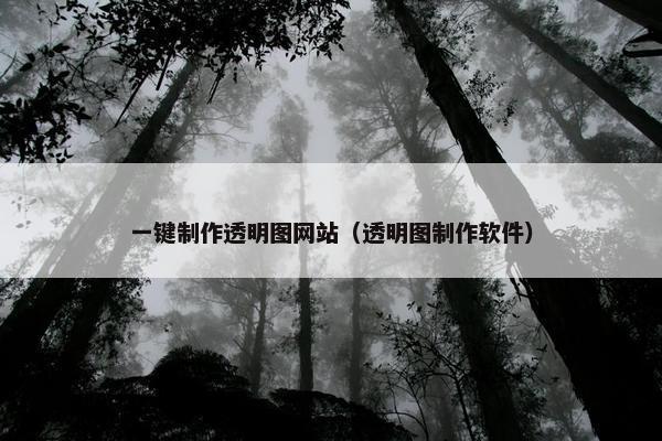 一键制作透明图网站（透明图制作软件）