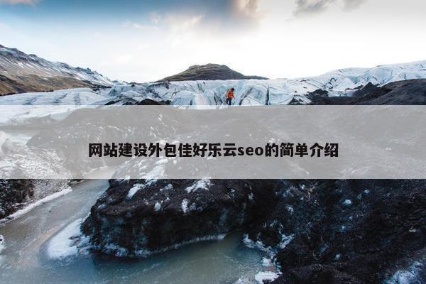 网站建设外包佳好乐云seo的简单介绍