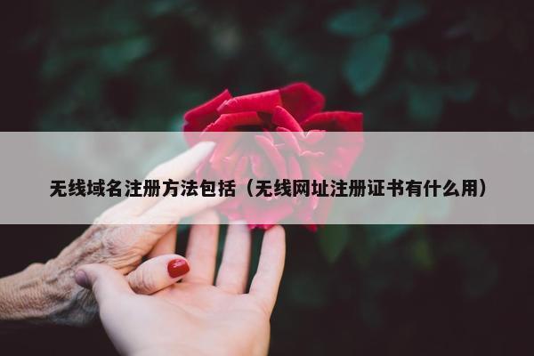 无线域名注册方法包括（无线网址注册证书有什么用）