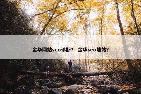 金华网站seo诊断？ 金华seo建站？