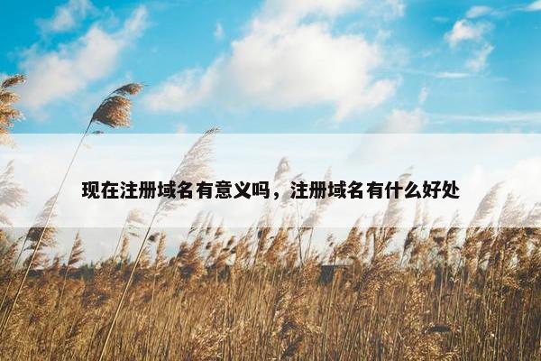 现在注册域名有意义吗，注册域名有什么好处