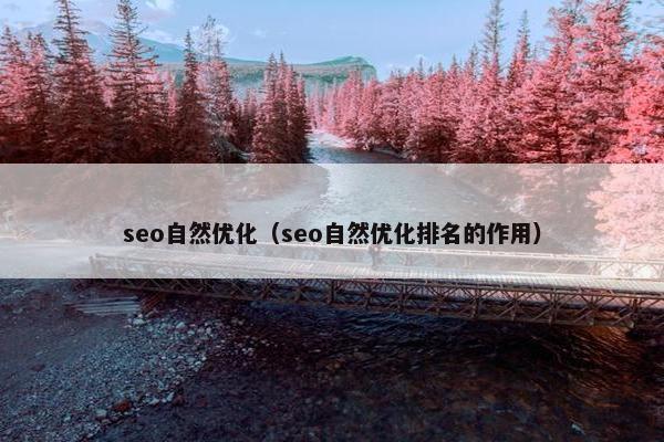 seo自然优化（seo自然优化排名的作用）