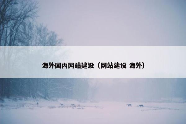 海外国内网站建设（网站建设 海外）