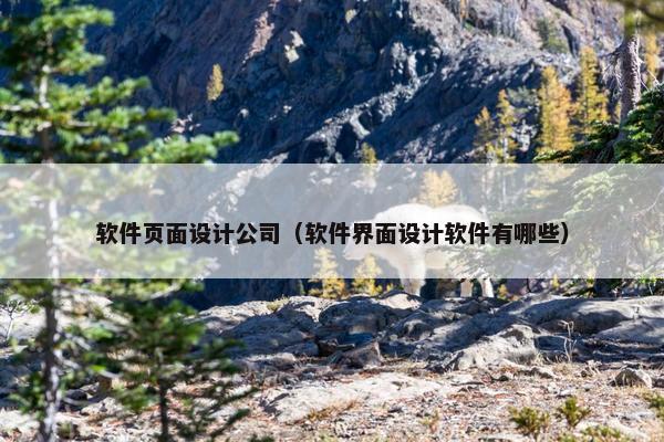 软件页面设计公司（软件界面设计软件有哪些）