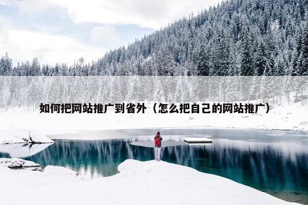 如何把网站推广到省外（怎么把自己的网站推广）