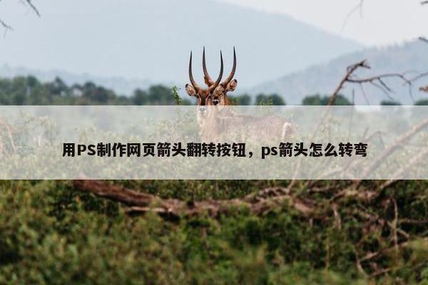 用PS制作网页箭头翻转按钮，ps箭头怎么转弯