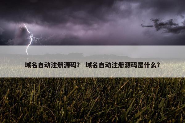 域名自动注册源码？ 域名自动注册源码是什么？