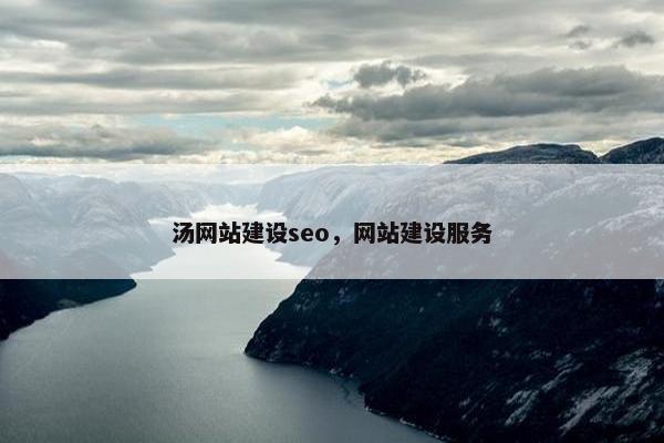 汤网站建设seo，网站建设服务