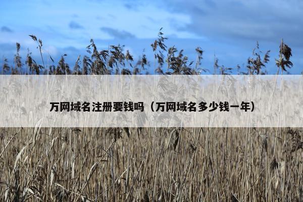万网域名注册要钱吗（万网域名多少钱一年）