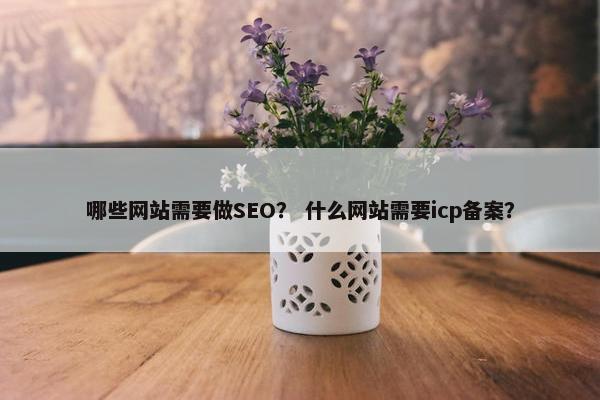 哪些网站需要做SEO？ 什么网站需要icp备案？