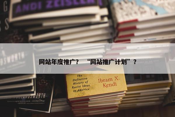 网站年度推广？ “网站推广计划”？
