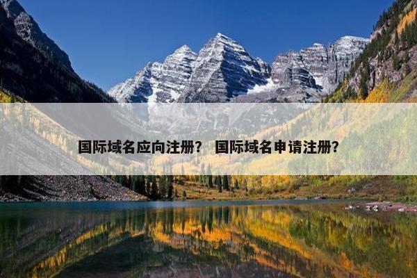 国际域名应向注册？ 国际域名申请注册？
