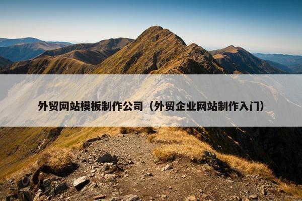 外贸网站模板制作公司（外贸企业网站制作入门）
