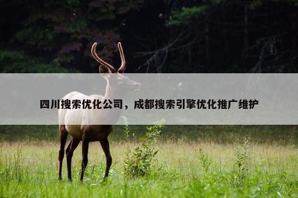 四川搜索优化公司，成都搜索引擎优化推广维护