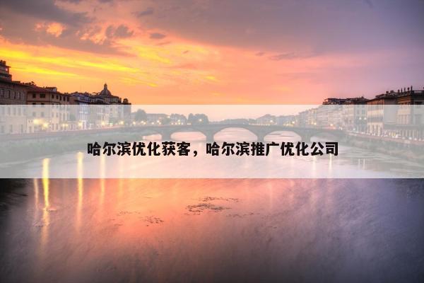 哈尔滨优化获客，哈尔滨推广优化公司