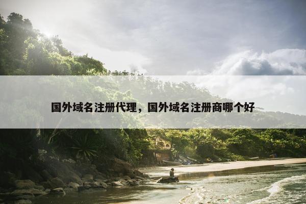 国外域名注册代理，国外域名注册商哪个好