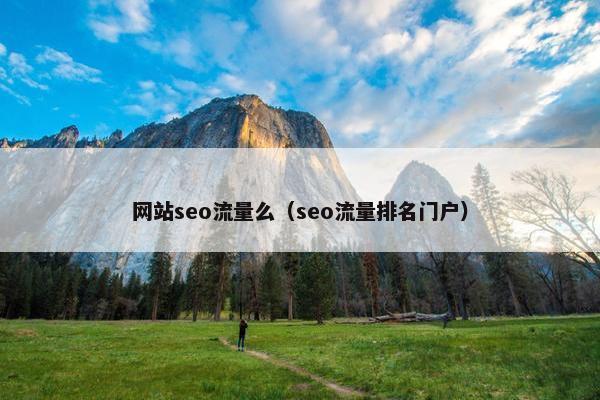 网站seo流量么（seo流量排名门户）