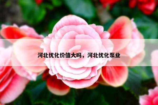 河北优化价值大吗，河北优化泵业