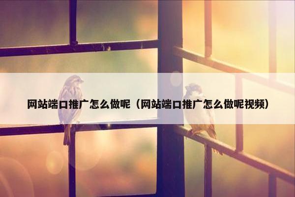 网站端口推广怎么做呢（网站端口推广怎么做呢视频）