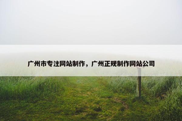 广州市专注网站制作，广州正规制作网站公司