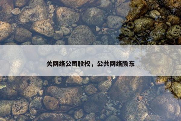 关网络公司股权，公共网络股东