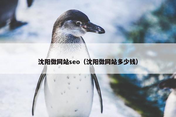 沈阳做网站seo（沈阳做网站多少钱）