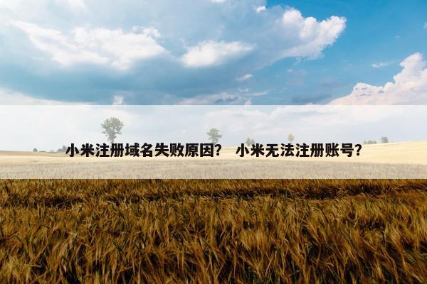 小米注册域名失败原因？ 小米无法注册账号？