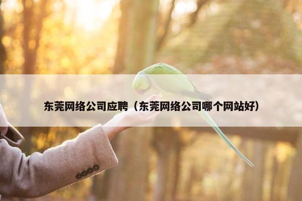 东莞网络公司应聘（东莞网络公司哪个网站好）