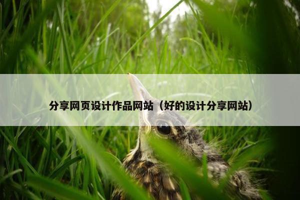 分享网页设计作品网站（好的设计分享网站）