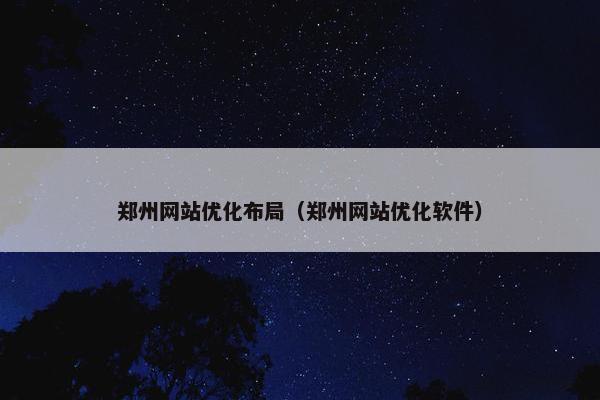 郑州网站优化布局（郑州网站优化软件）