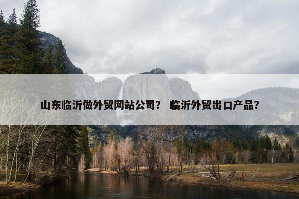 山东临沂做外贸网站公司？ 临沂外贸出口产品？
