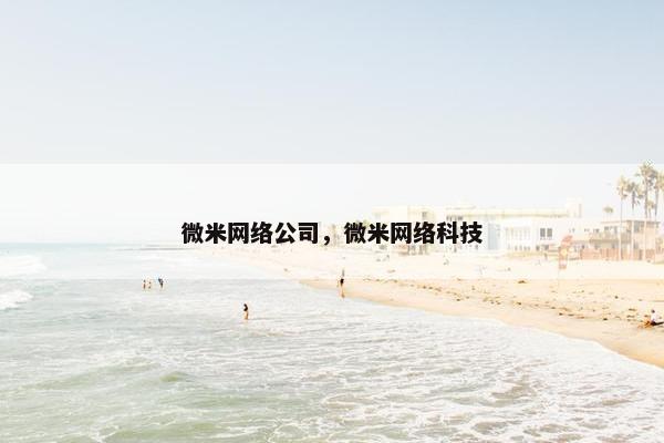 微米网络公司，微米网络科技