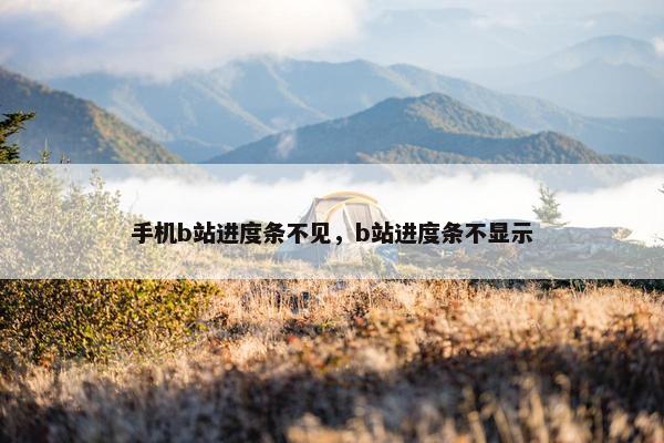 手机b站进度条不见，b站进度条不显示
