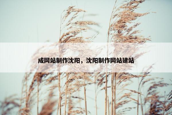 成网站制作沈阳，沈阳制作网站建站