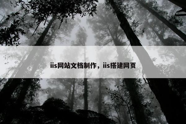 iis网站文档制作，iis搭建网页