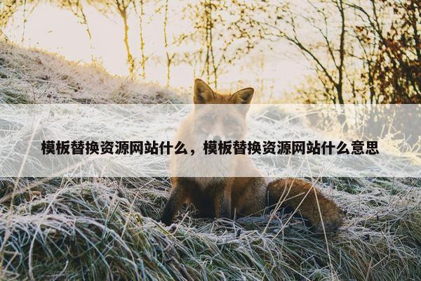 模板替换资源网站什么，模板替换资源网站什么意思