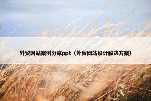 外贸网站案例分享ppt（外贸网站设计解决方案）