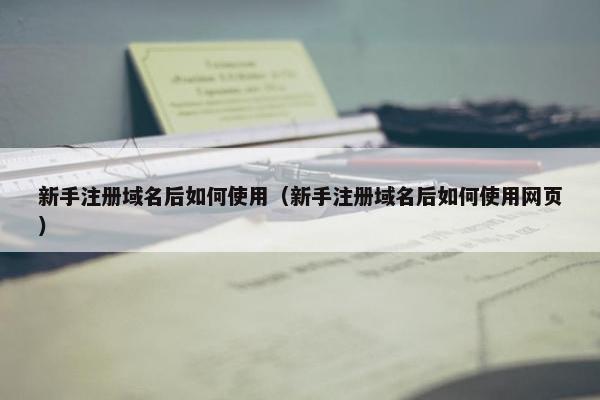 新手注册域名后如何使用（新手注册域名后如何使用网页）