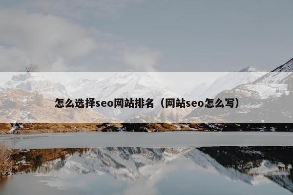 怎么选择seo网站排名（网站seo怎么写）