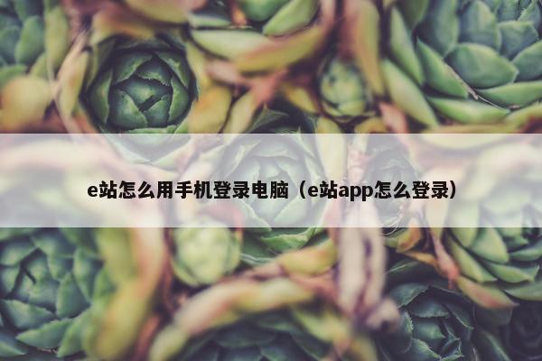 e站怎么用手机登录电脑（e站app怎么登录）