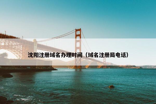 沈阳注册域名办理时间（域名注册局电话）