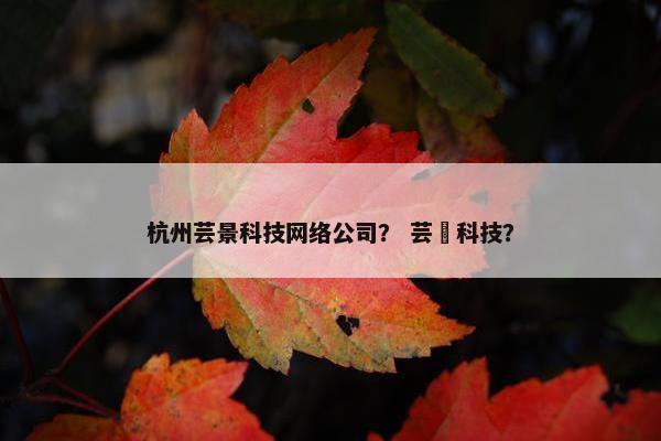 杭州芸景科技网络公司？ 芸璟科技？
