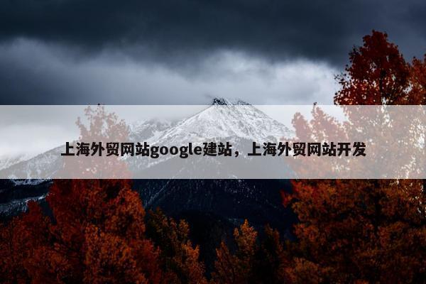 上海外贸网站google建站，上海外贸网站开发