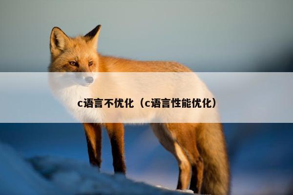 c语言不优化（c语言性能优化）