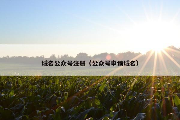 域名公众号注册（公众号申请域名）