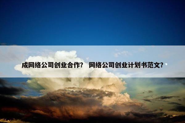 成网络公司创业合作？ 网络公司创业计划书范文？