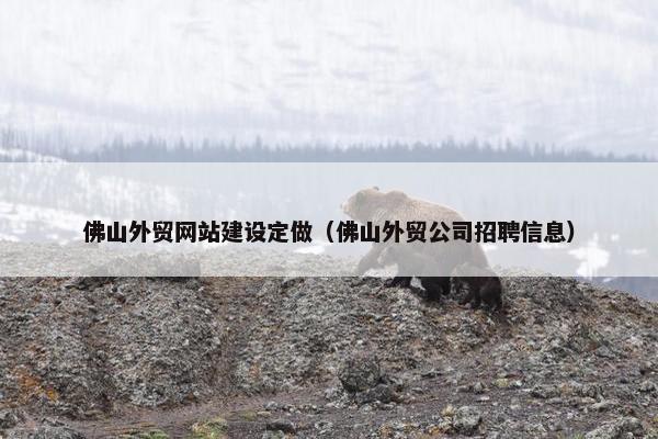 佛山外贸网站建设定做（佛山外贸公司招聘信息）