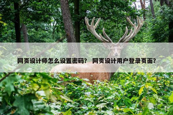 网页设计师怎么设置密码？ 网页设计用户登录页面？